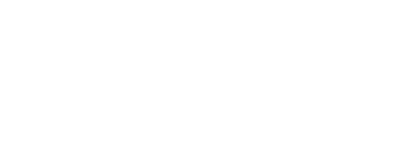 ViBiS-beViSiBle-logo-with-ibis-red-02